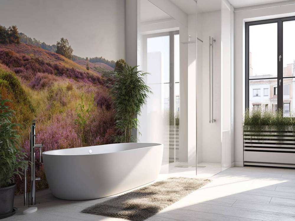 Heathland o wschodzie słońca