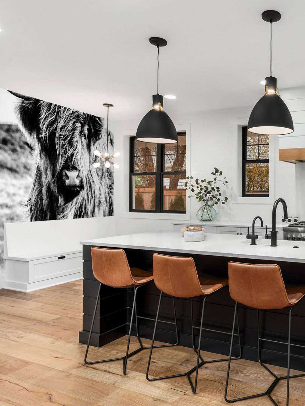 Szkocka rasa wyżynna w czerni i bieli