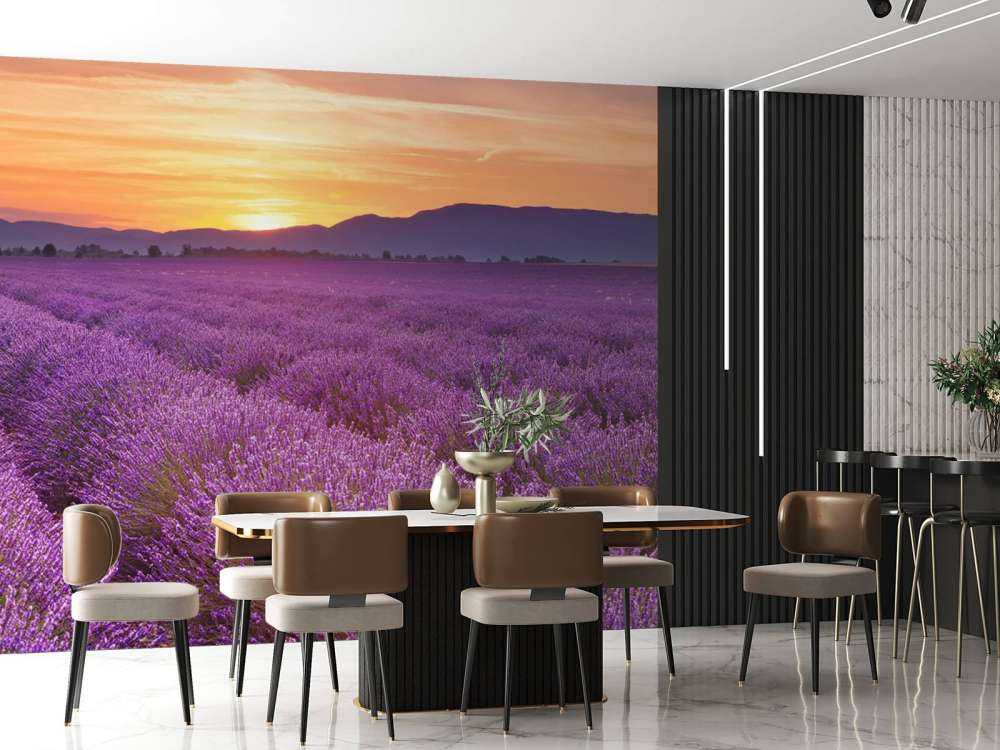 Pole pełne lawendy.