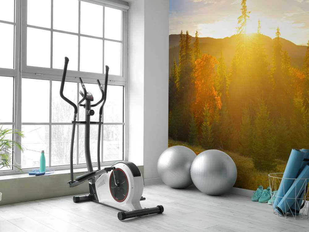 Panorama lasu sosnowego