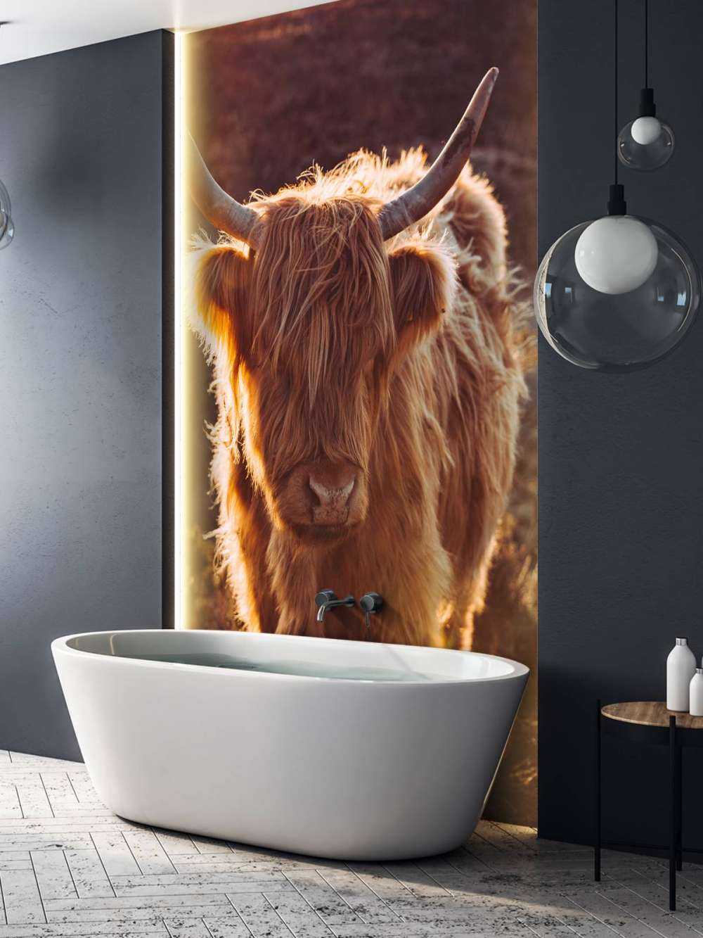 Szkocki wyżyn w słońcu