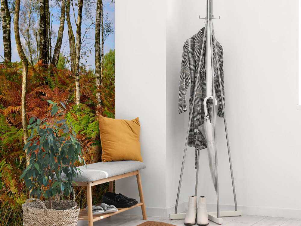 Brzozy z kolorowymi paprociami