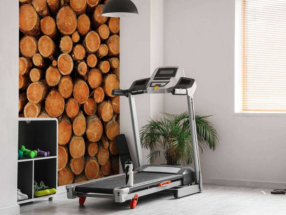 Kupa ciemnych pni drzew