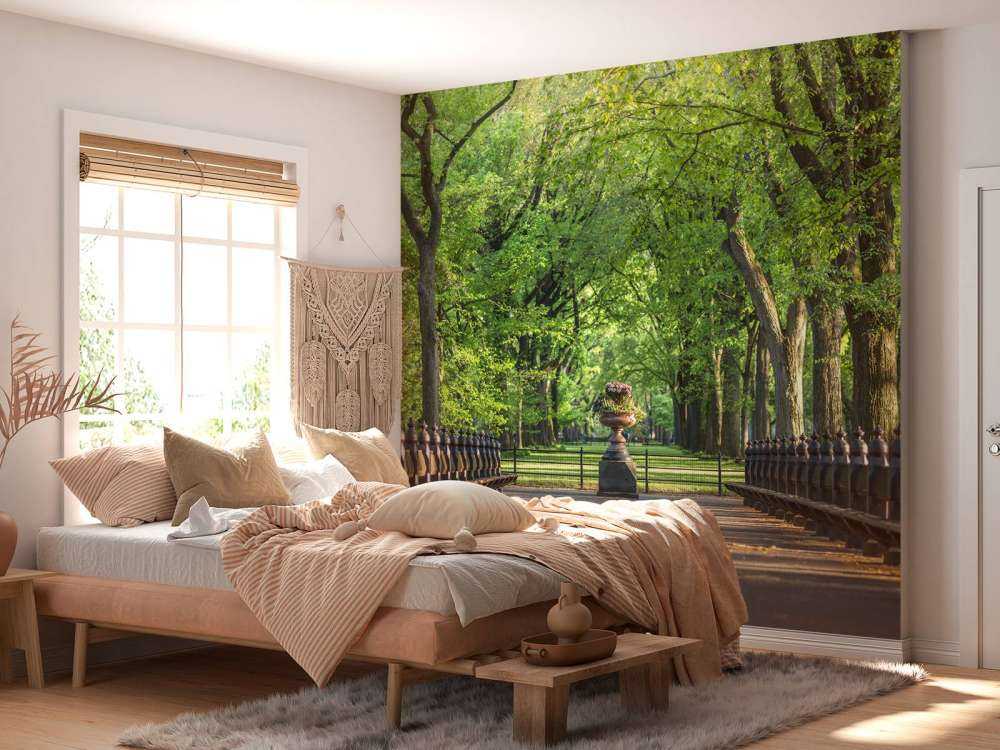 Ścieżka w Central Parku