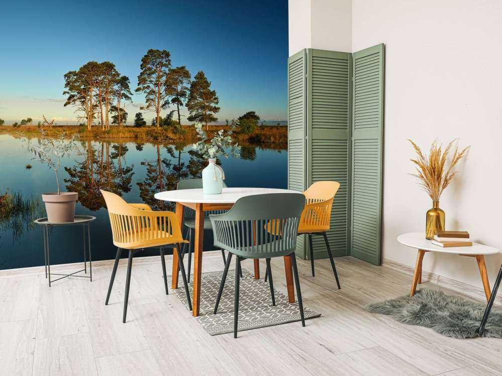 Odbicie w jeziorze leśnym