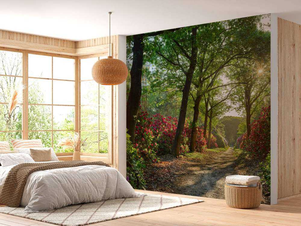 Wschód słońca na ścieżce z rododendronami