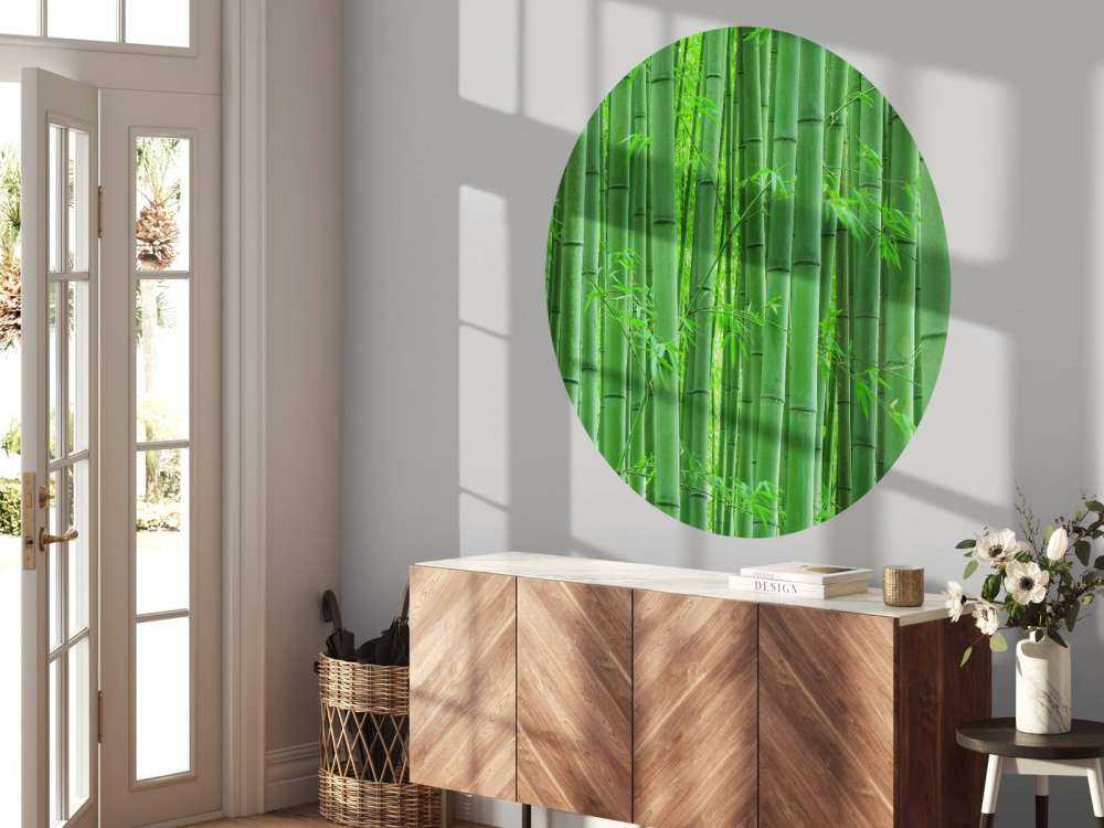 Zbliżenie na las bambusowy