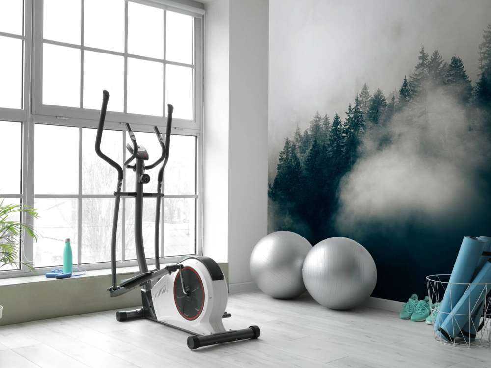 Mglisty alpejski poranek