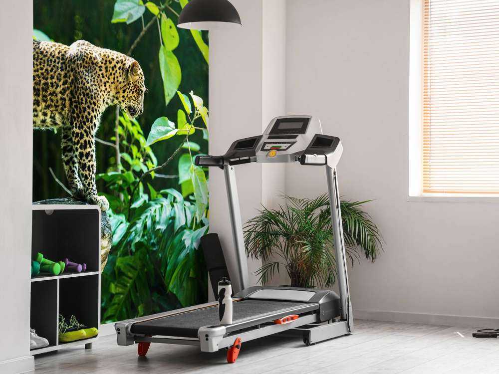 Leopard na skale