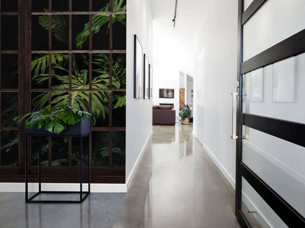 Rośliny botaniczne za oknami