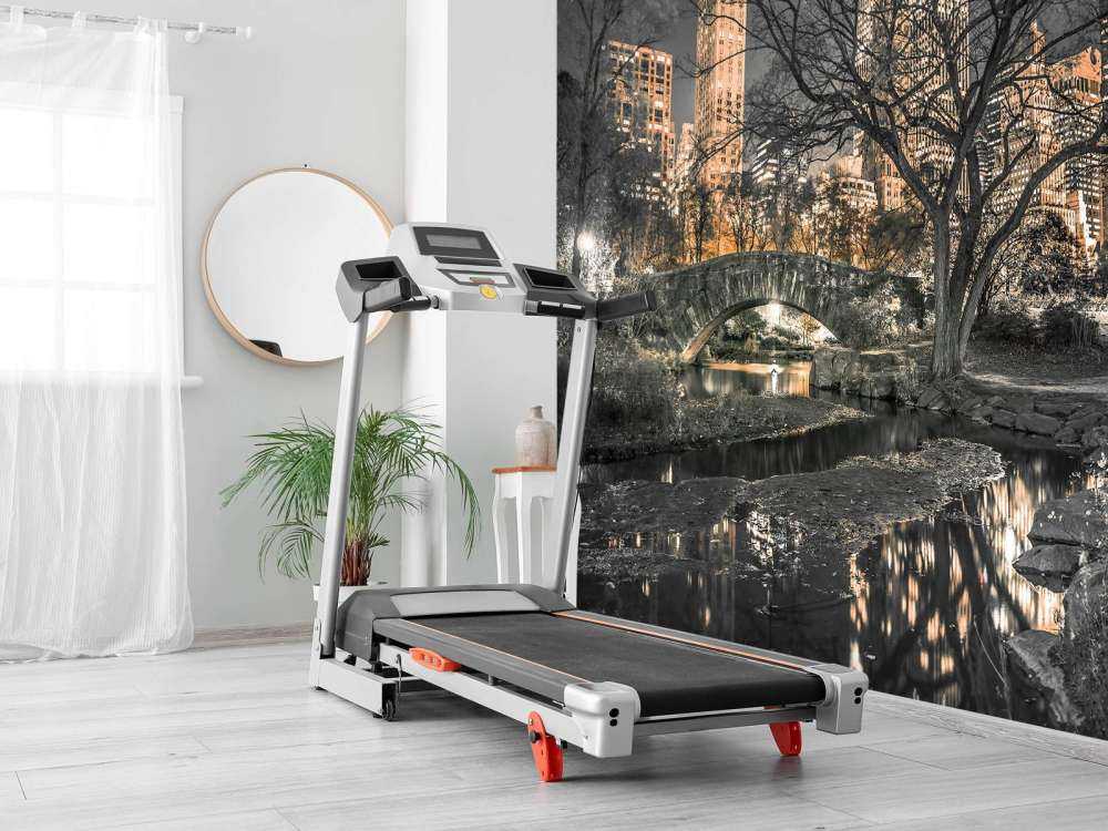 Central Park wieczorem