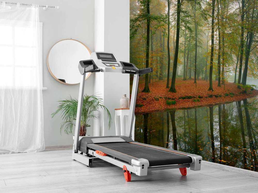 Odbicie drzew w stawie