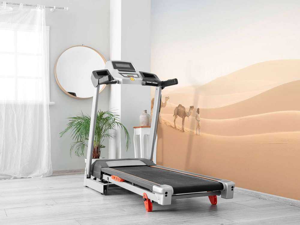 Nomada z wielbłądami