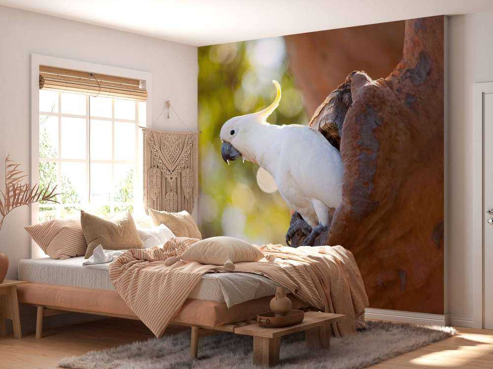 Kakadu w dziupli drzewa