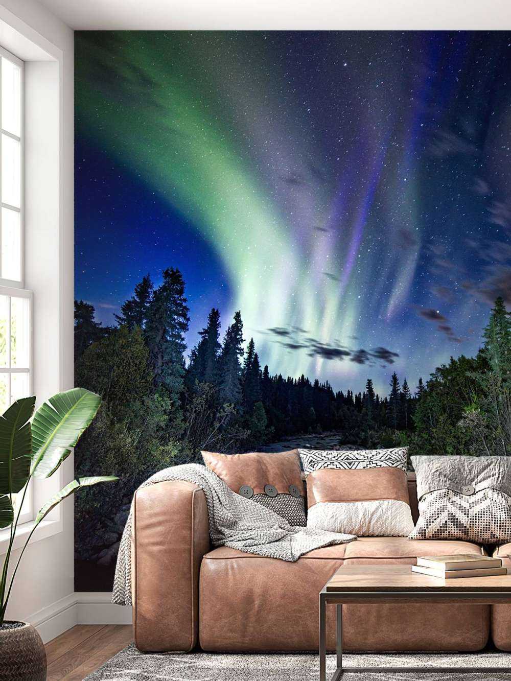 Brooklet podczas światła północnego