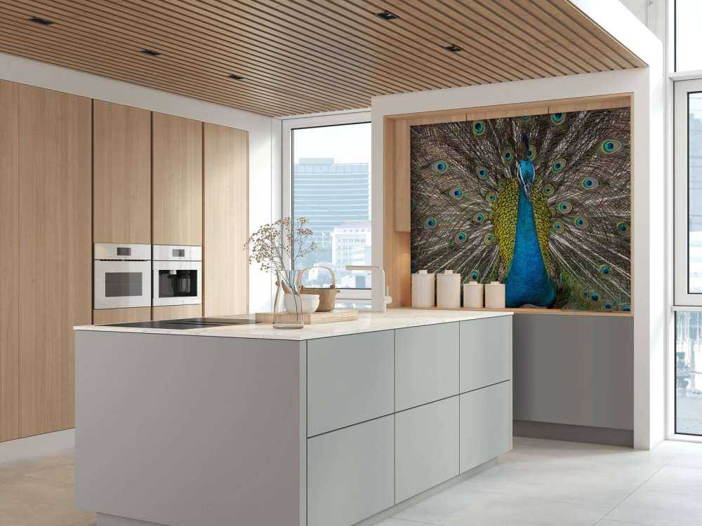 Paw z wypchanymi piórami