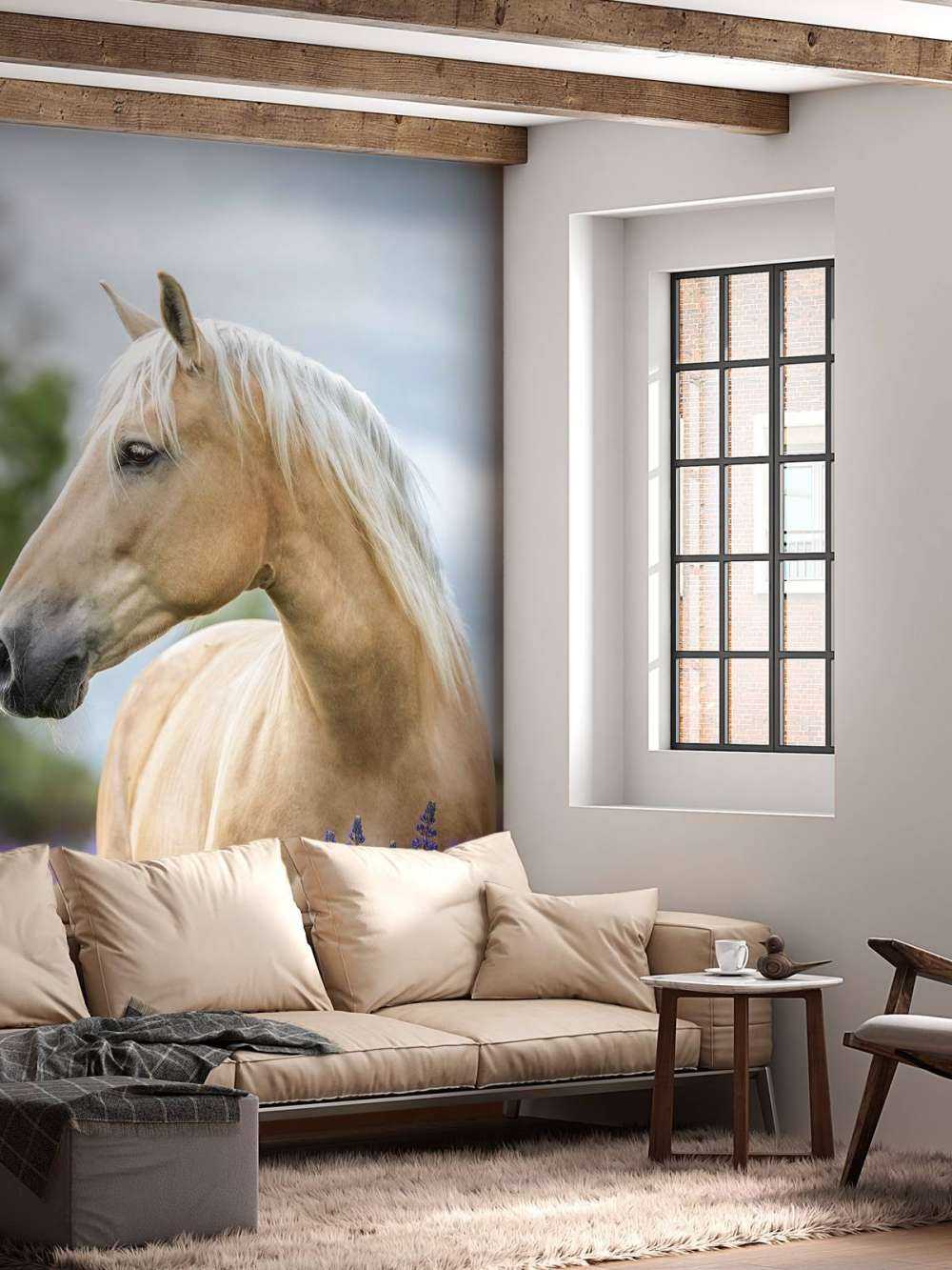 Koń między lawendą