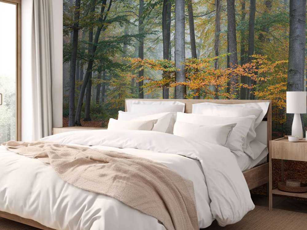 Jesienne kolory w zamglonym lesie