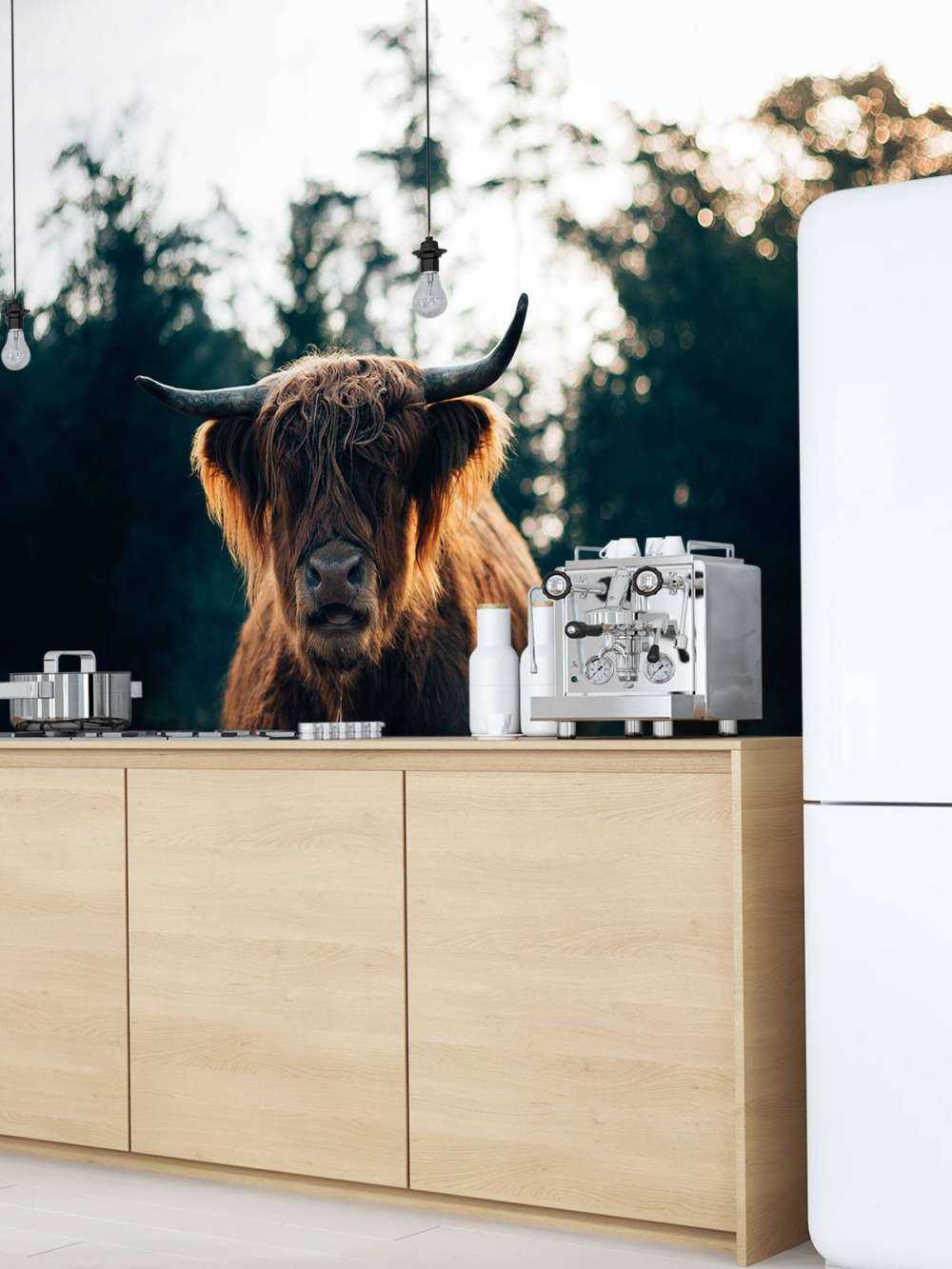 Szkocki góral w porannym słońcu