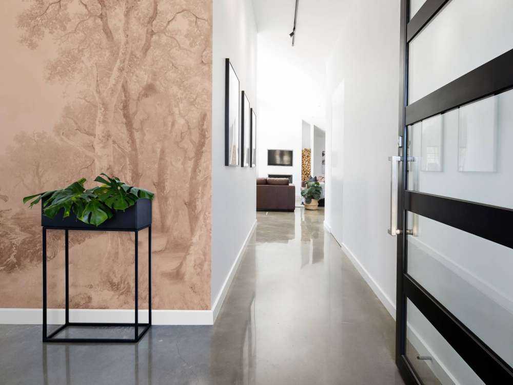 Krajobraz leśny Terra #1