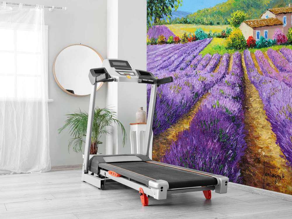 Lavender under linden