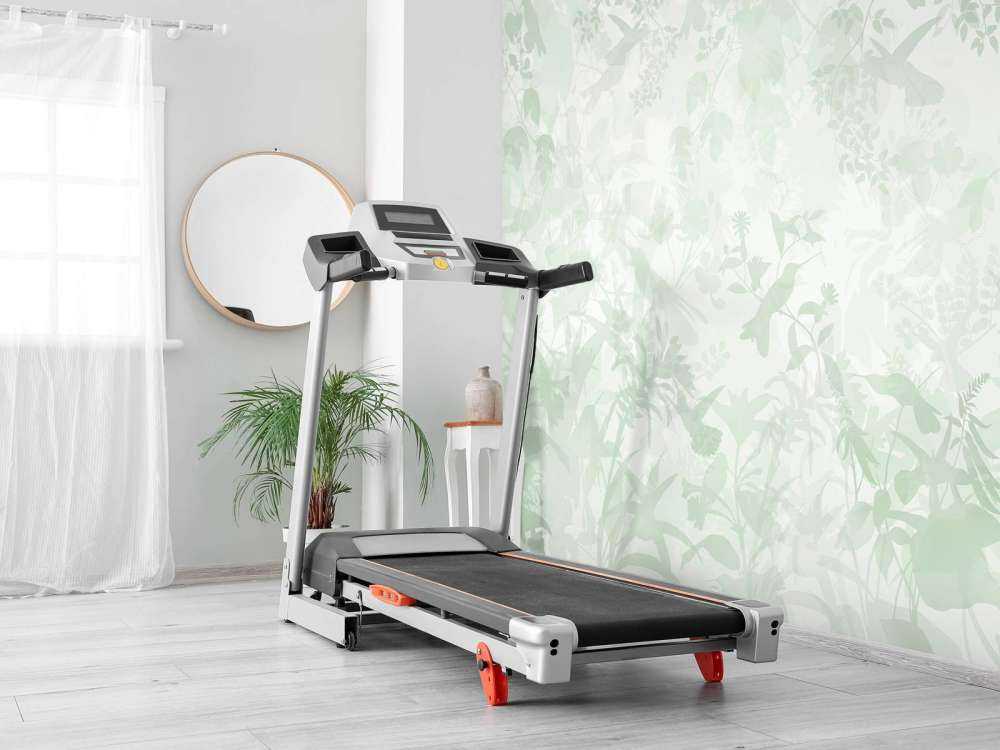 Symfonia Ogrodowa w Zieleni