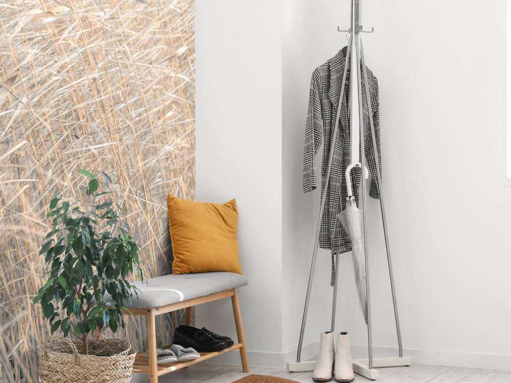 Brown reeds growing in water