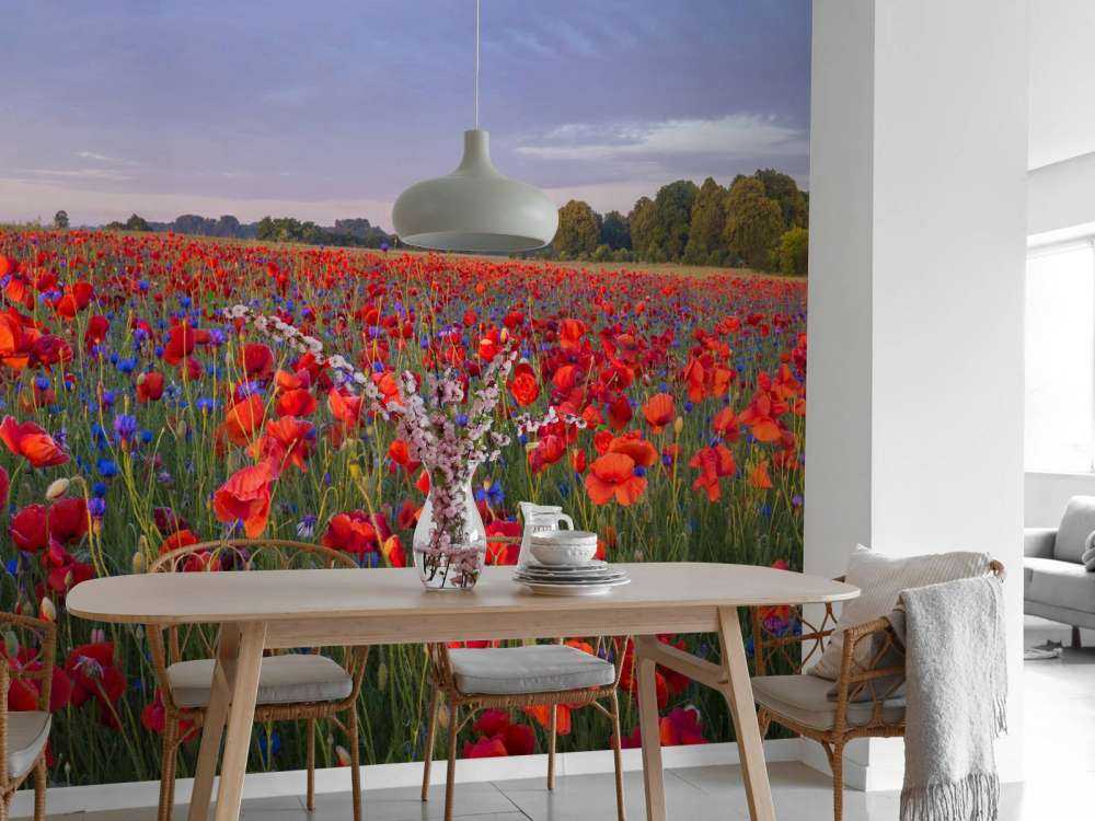 Niebieskie kwiaty i czerwone maki