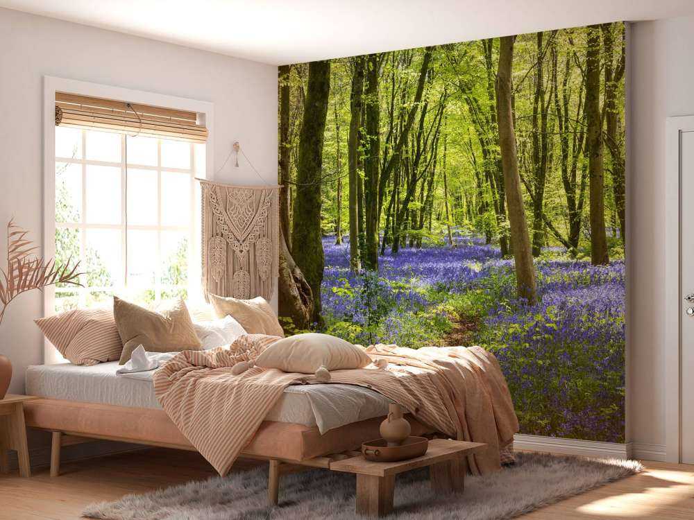 Las w blasku słońca