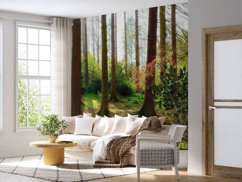 Jesienny las z jasnym światłem słonecznym