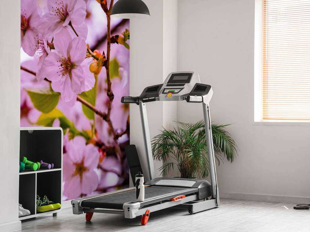 Różowe kwiaty z płatkami