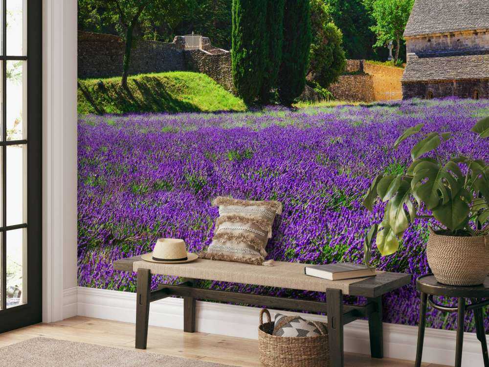 Bajkowe pole lawendy