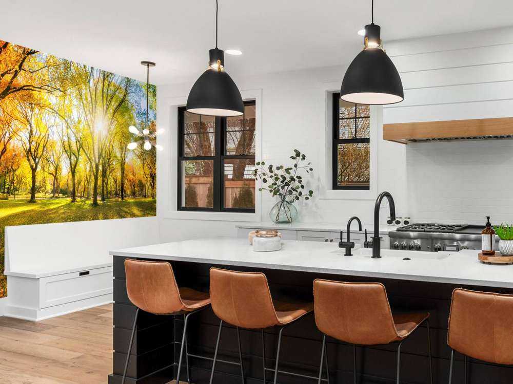 Kolorowy jesienny las