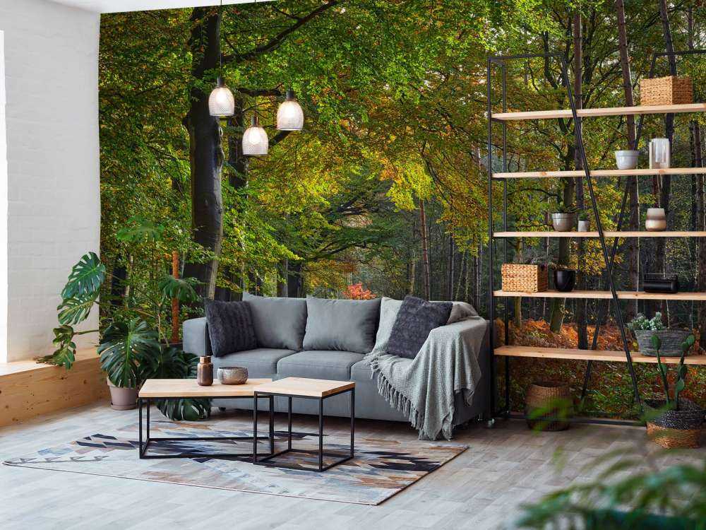 Ścieżka z liśćmi przez las