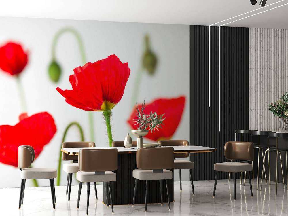 Zbliżenie na czerwone maki