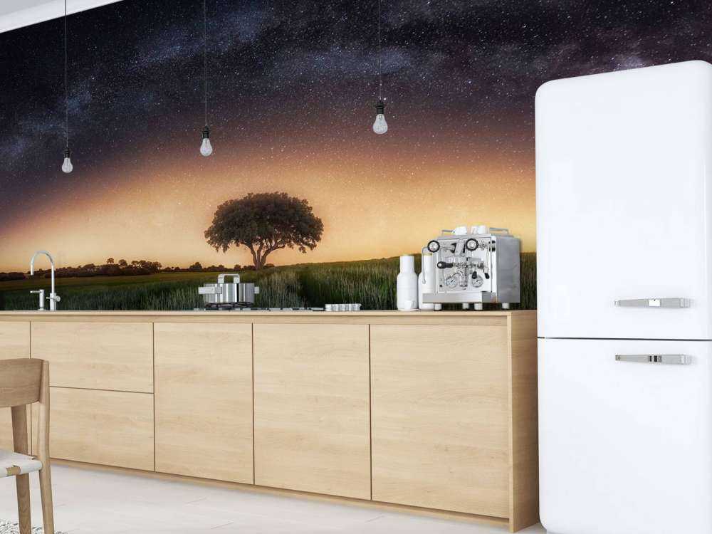 Milky way over lonely tree