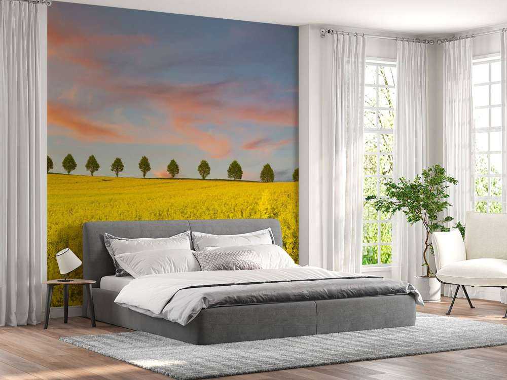 Pole pełne żółtych kwiatów