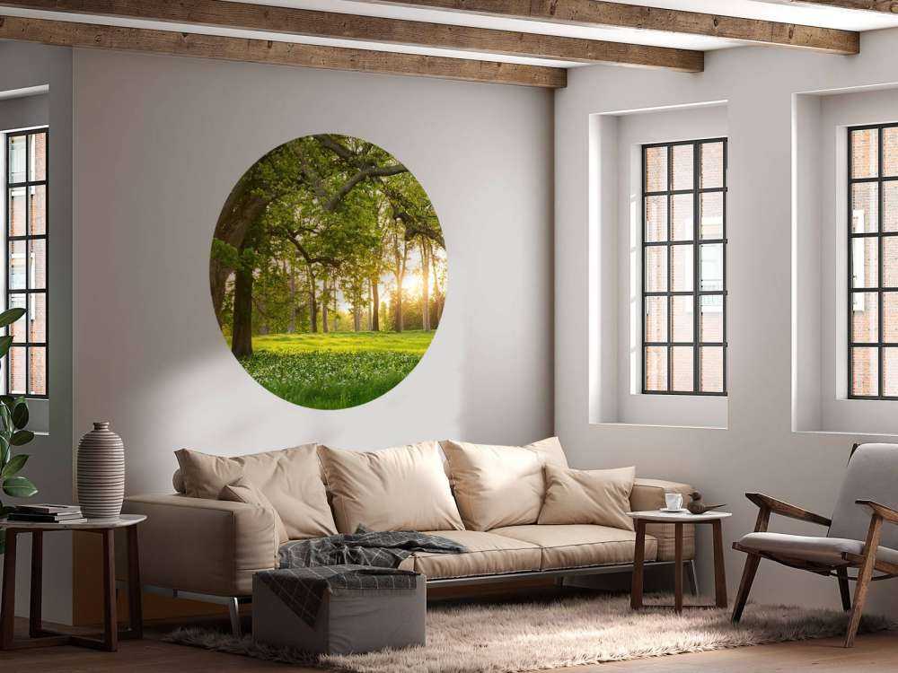 Otwarta przestrzeń w lesie