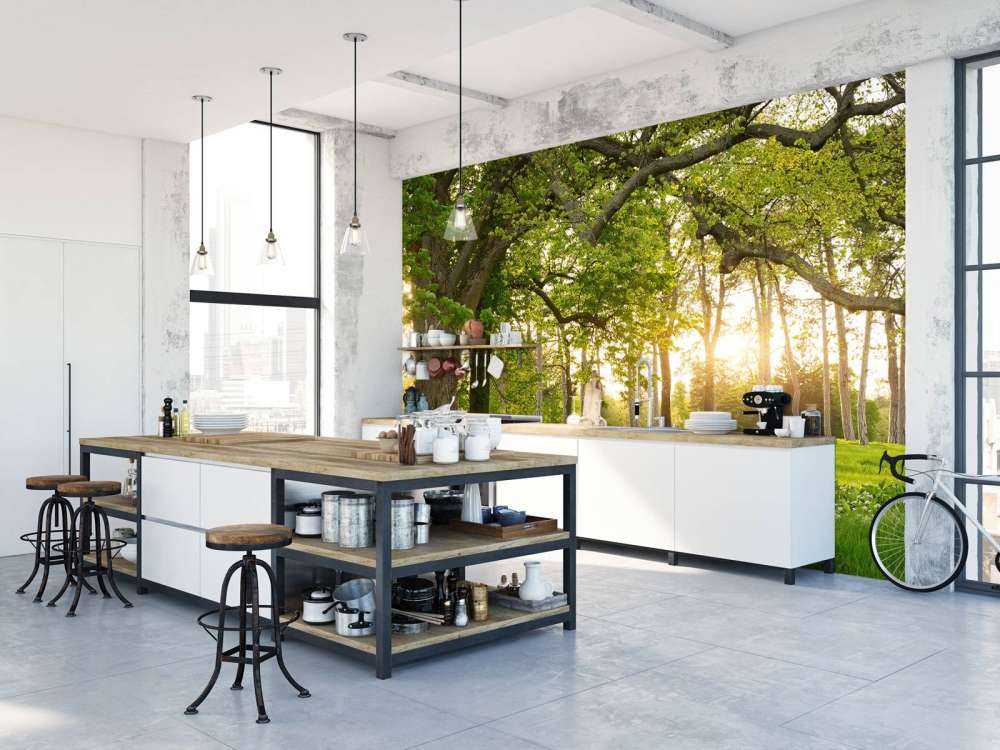 Otwarta przestrzeń w lesie