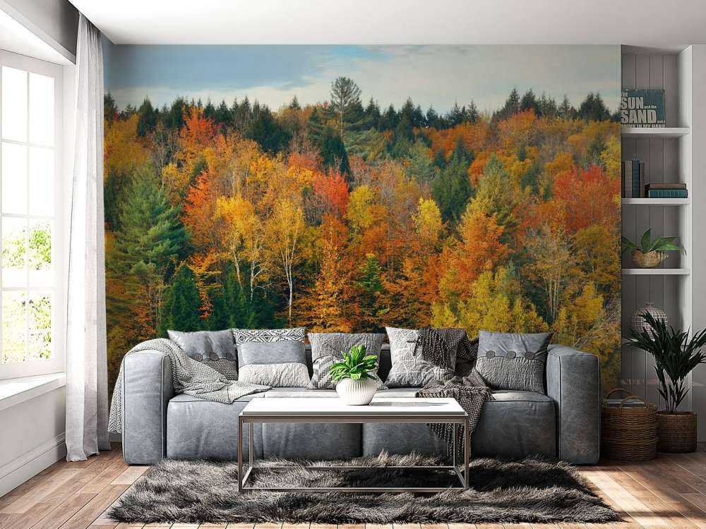 Jezioro z jesiennymi drzewami