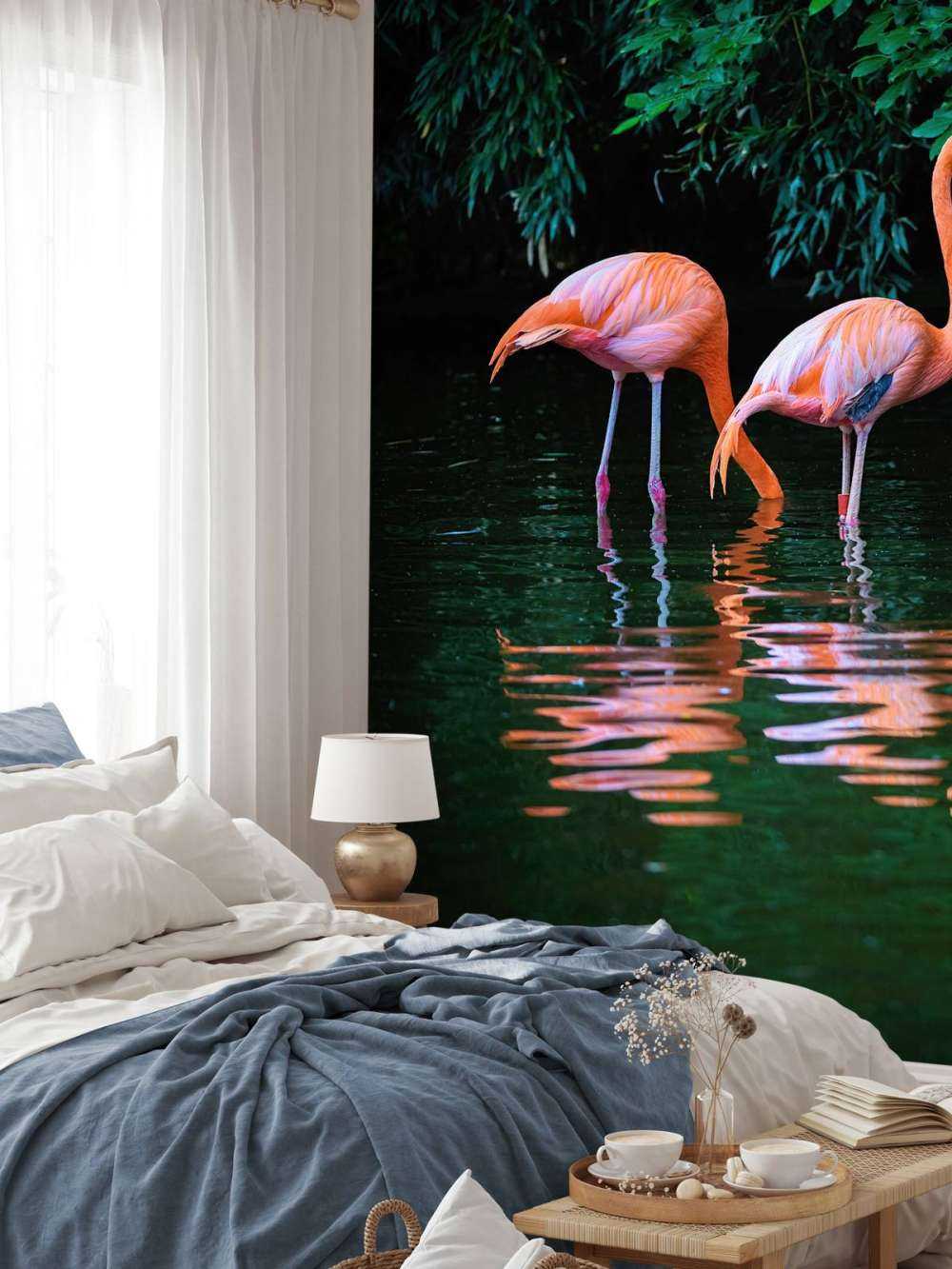 Dwa karaibskie flamingi