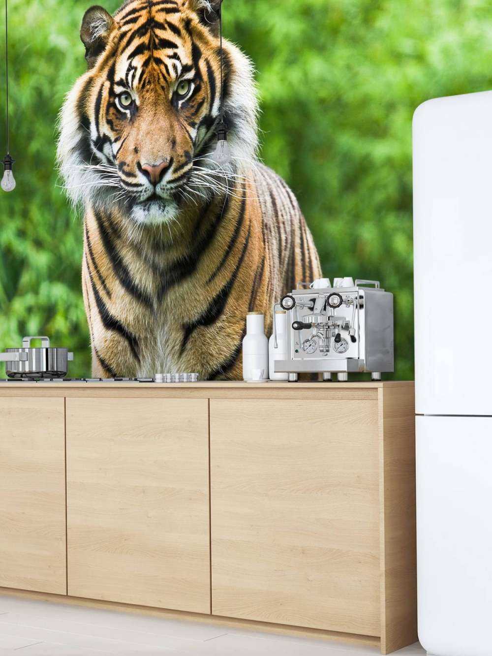 Tygrys stojący na kamieniu