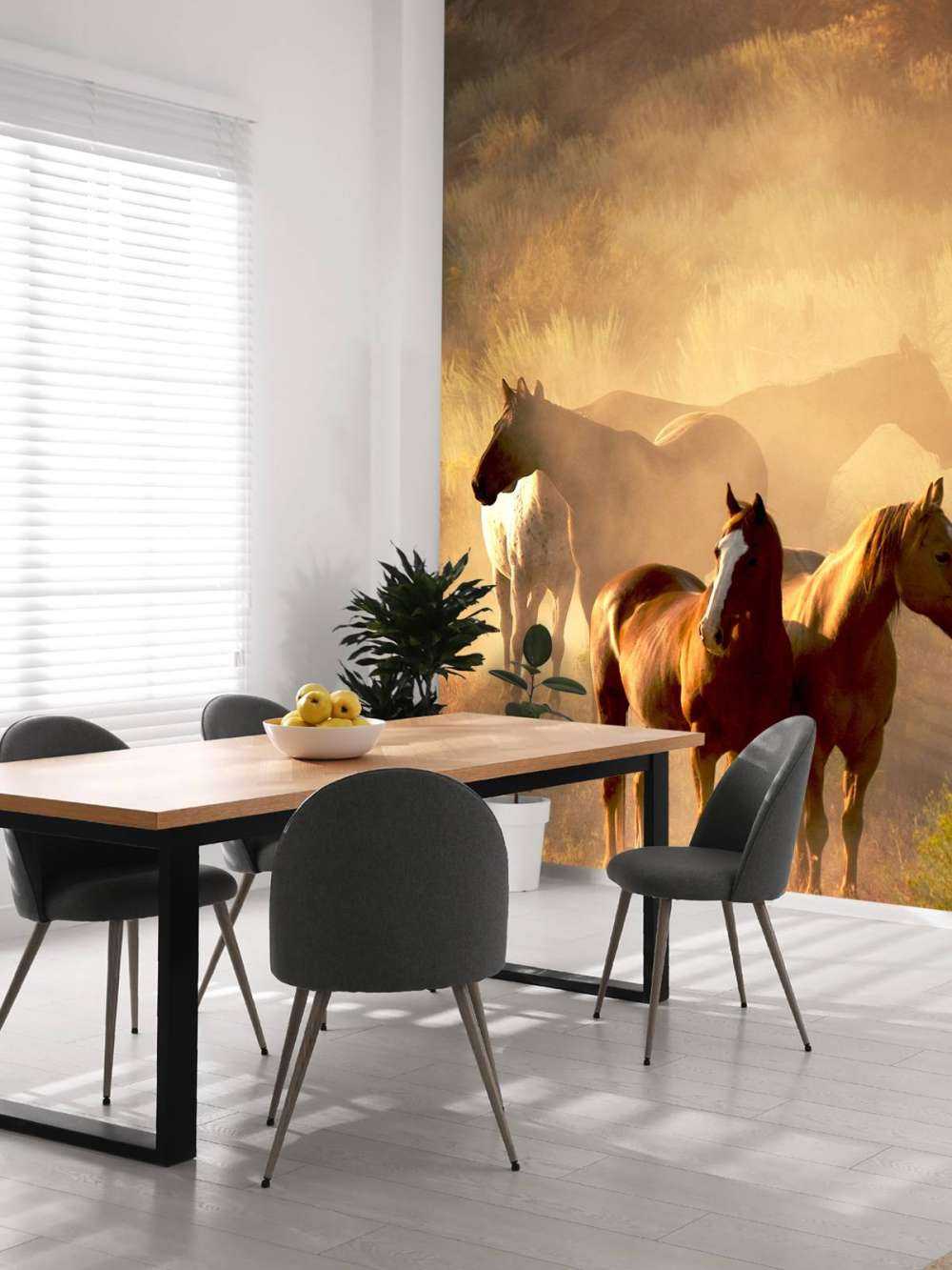 Konie podczas zachodu słońca