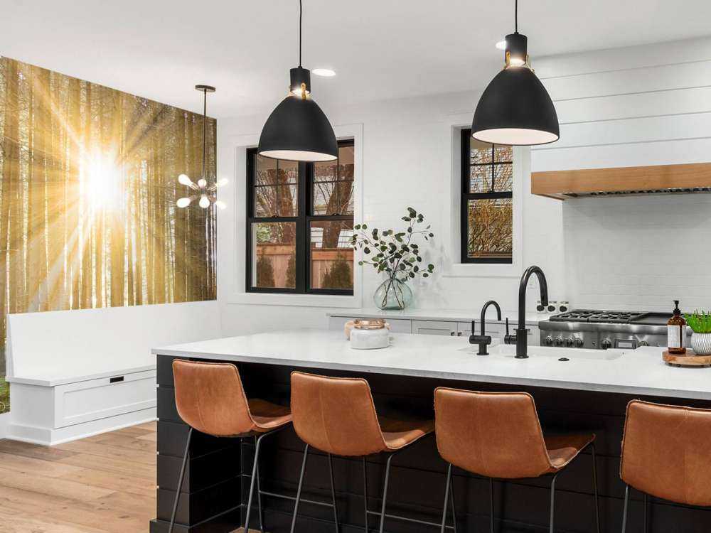 Las sosnowy z blaskiem słońca