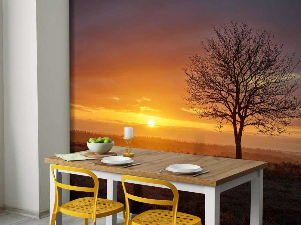 Kolorowy wschód słońca na wrzosowisku