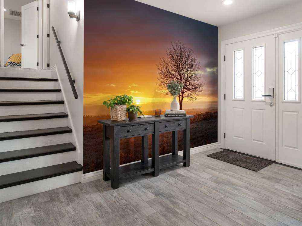 Kolorowy wschód słońca na wrzosowisku