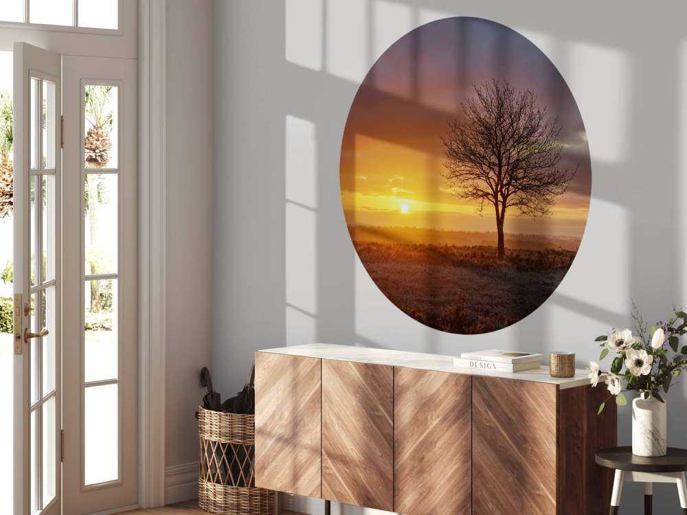 Kolorowy wschód słońca na wrzosowisku