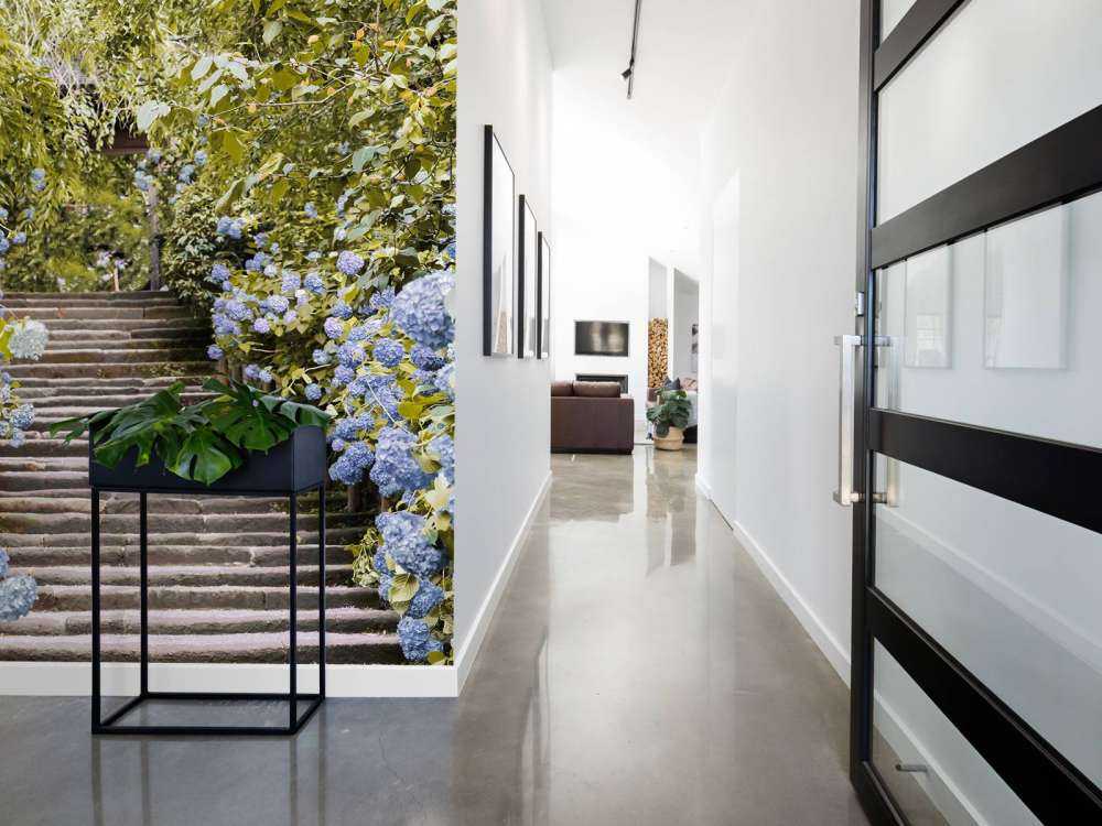 Niebieskie kwiaty w parku