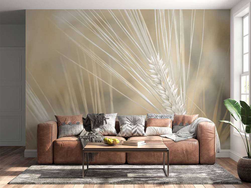 Zbliżenie na pszenicę