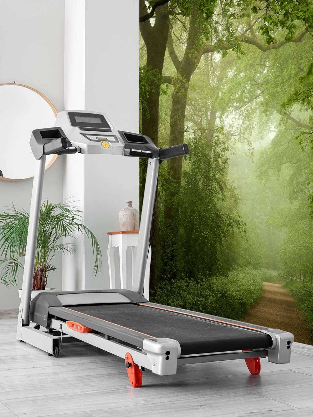 Leśna ścieżka we mgle